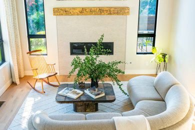 Example of a living room design in San Francisco
