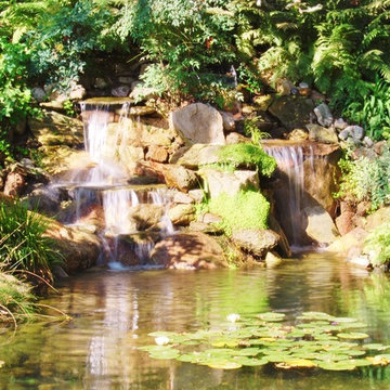 Pond Builder Los Angeles