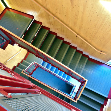 Petoria Stair and Railings
