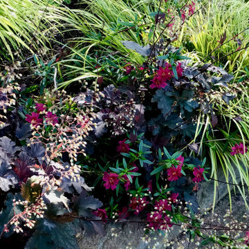 Vibrant Piedmont Front Yard