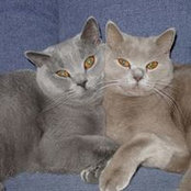 Foto von Marina Danilova