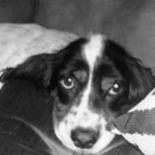Lindsey Rives's photo