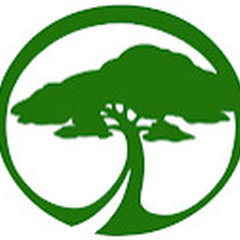 "Зелёная Усадьба", компания ландшафтного дизайна