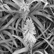 Tania Kerr's photo