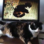 Ledel Weber's photo