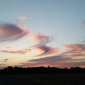 Emilee Shaheen's photo