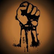 Cem Sesar's photo