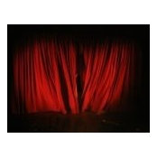 Samantha Saye's photo