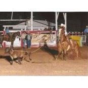 Colby Dorsey's photo