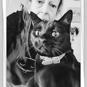 Kelly Anderson's photo