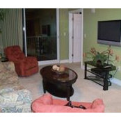 John Nestale's photo