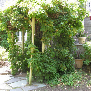 Egbert Street Garden