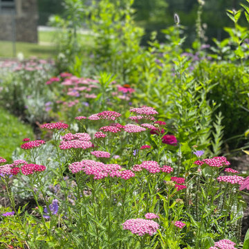 The Fairytale Garden