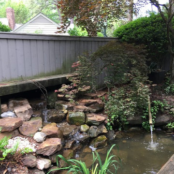 Shaded Asian Garden