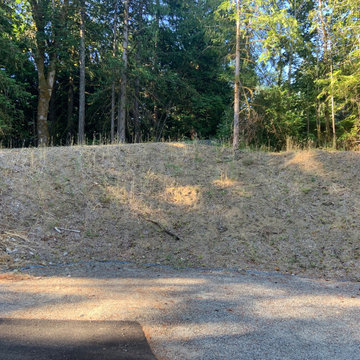 Layered Garden in the Woods - before