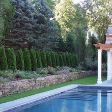 Wilson Front Yard