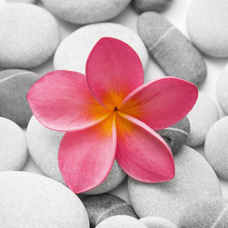 Platin Art's Deco Glass Wall Decor- Beautiful Pink Flower - Wallpaper