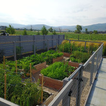 Vegetable Garden Ideas