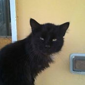 Daniele Rizzo's photo