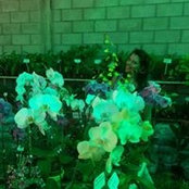 Nany Bai's photo