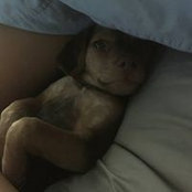 Jo Anna Hayes's photo