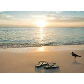 Jen Duffy's photo
