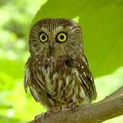 Kristin Schulz's photo