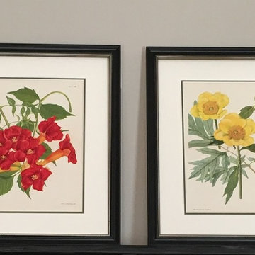 Botanical Prints