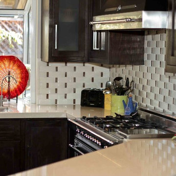 Silicon Valley Bungalow Kitchen