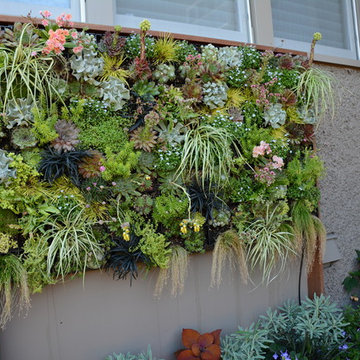 Raised Vegetable / Ornamental Garden 2015