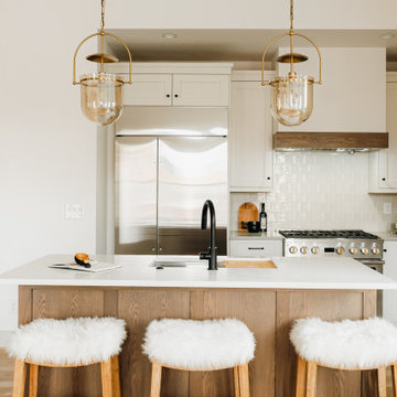 Mansard Roof Urban Home
