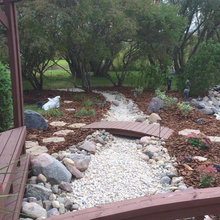 Stream