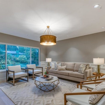 Living Room - Transitional