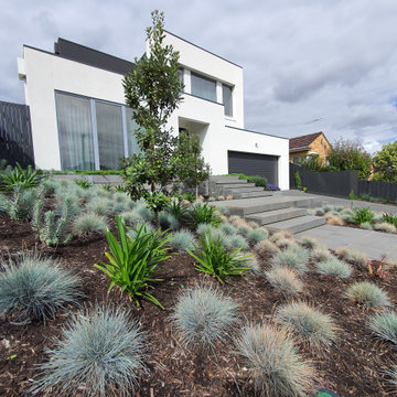 Essendon Front Landscape