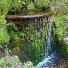 Landscape Ideas