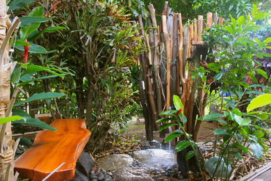 Photo of a tropical landscaping in Hawaii.