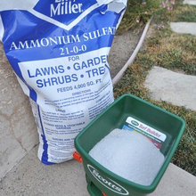 Garden Tips