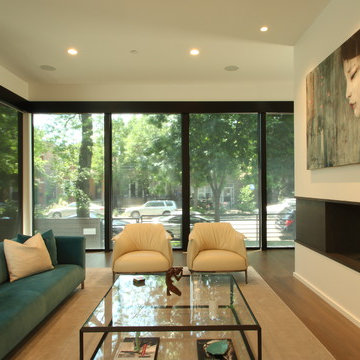 Chicago Bucktown Modern Masterpiece