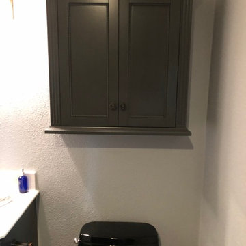 Contemporary Guest Bath Renovation