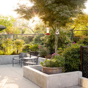 Seward Park Kitchen and Porch Renovation