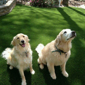 Artificial Turf