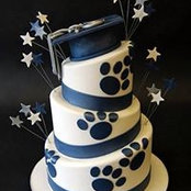 William Underkoffler's photo