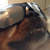 Anthony Joseph's photo