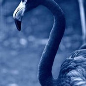 Eliza Laytner's photo