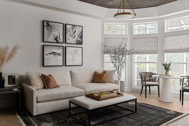 Inspiration for a transitional living room remodel in Tampa