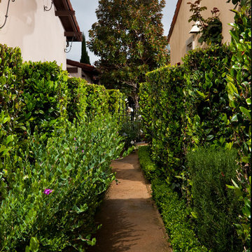 Sideyard Garden Planting