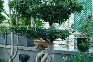 Residential Terrace Garden