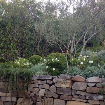 Rock wall