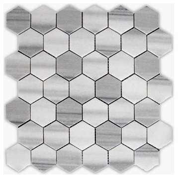 Equador Polished 2" Hexagon Marble Mosaic