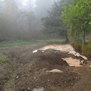Stream bank